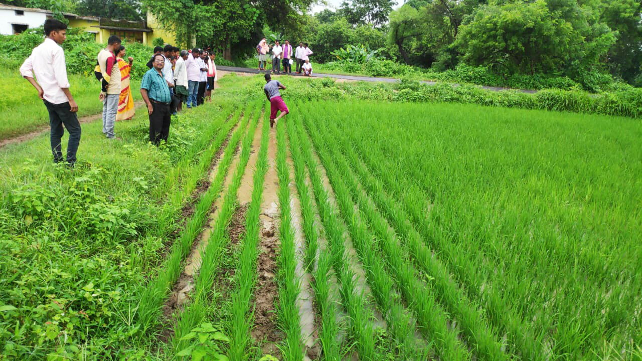 Capacity building about cluster based crop cultivation to ensure the livelihood of farmers 
